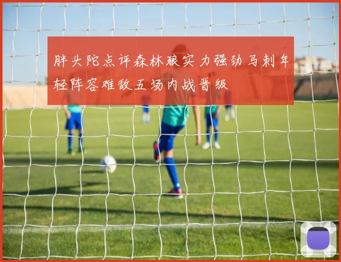 胖头陀点评森林狼实力强劲马刺年轻阵容难敌五场内战晋级