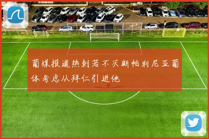 葡媒报道热刺若不买断帕利尼亚葡体考虑从拜仁引进他